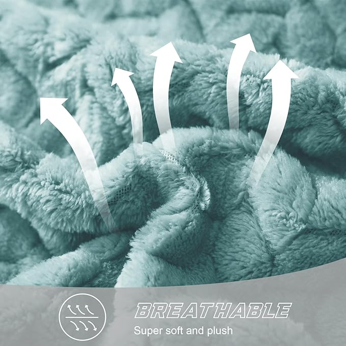 Exclusivo Mezcla Fleece Queen Size Blanket for Bed, 90x90 Inches Soft Cozy Jacquard Flannel Blankets, Lightweight Fuzzy Plush Warm for Women, Celadon
