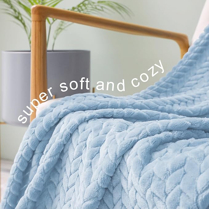 Exclusivo Mezcla Fleece Queen Size Blanket for Bed, 90x90 Inches Soft Cozy Jacquard Flannel Blankets, Lightweight Fuzzy Plush Warm for Women, Light Blue
