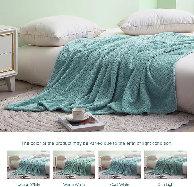Exclusivo Mezcla Fleece Twin Size Blanket for Bed, 60x80 Inches Soft Cozy Jacquard Flannel Blankets, Lightweight Fuzzy Plush Warm for Women, Celadon