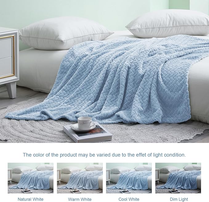 Exclusivo Mezcla Fleece Twin Size Blanket for Bed, 60x80 Inches Soft Cozy Jacquard Flannel Blankets, Lightweight Fuzzy Plush Warm for Women, Light Blue