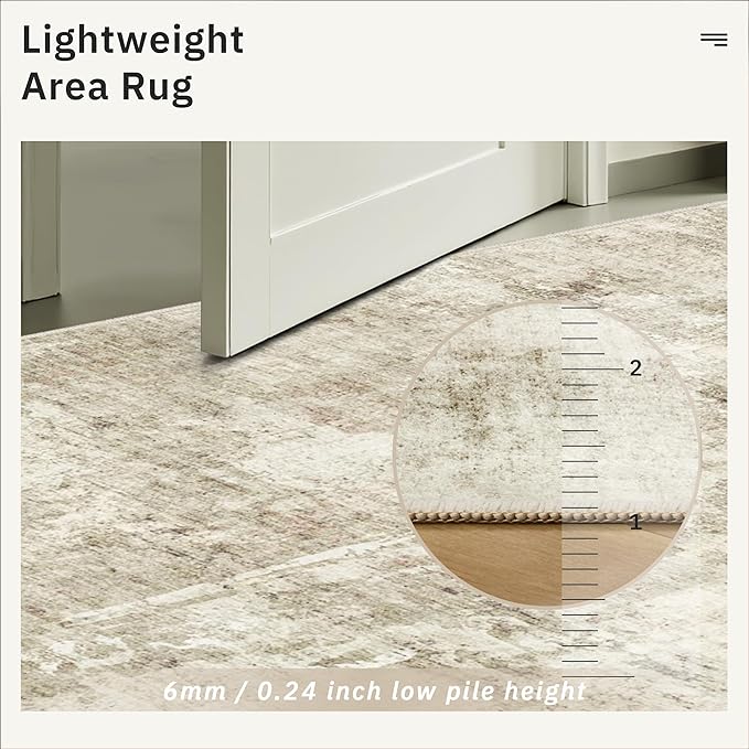 4x6 Area Rugs for Living Room, Vintage Washable Rugs for Dining Room, Bedroom, Home Office Decor, Non-Slip Beige/Gray Carpet Thin Rug